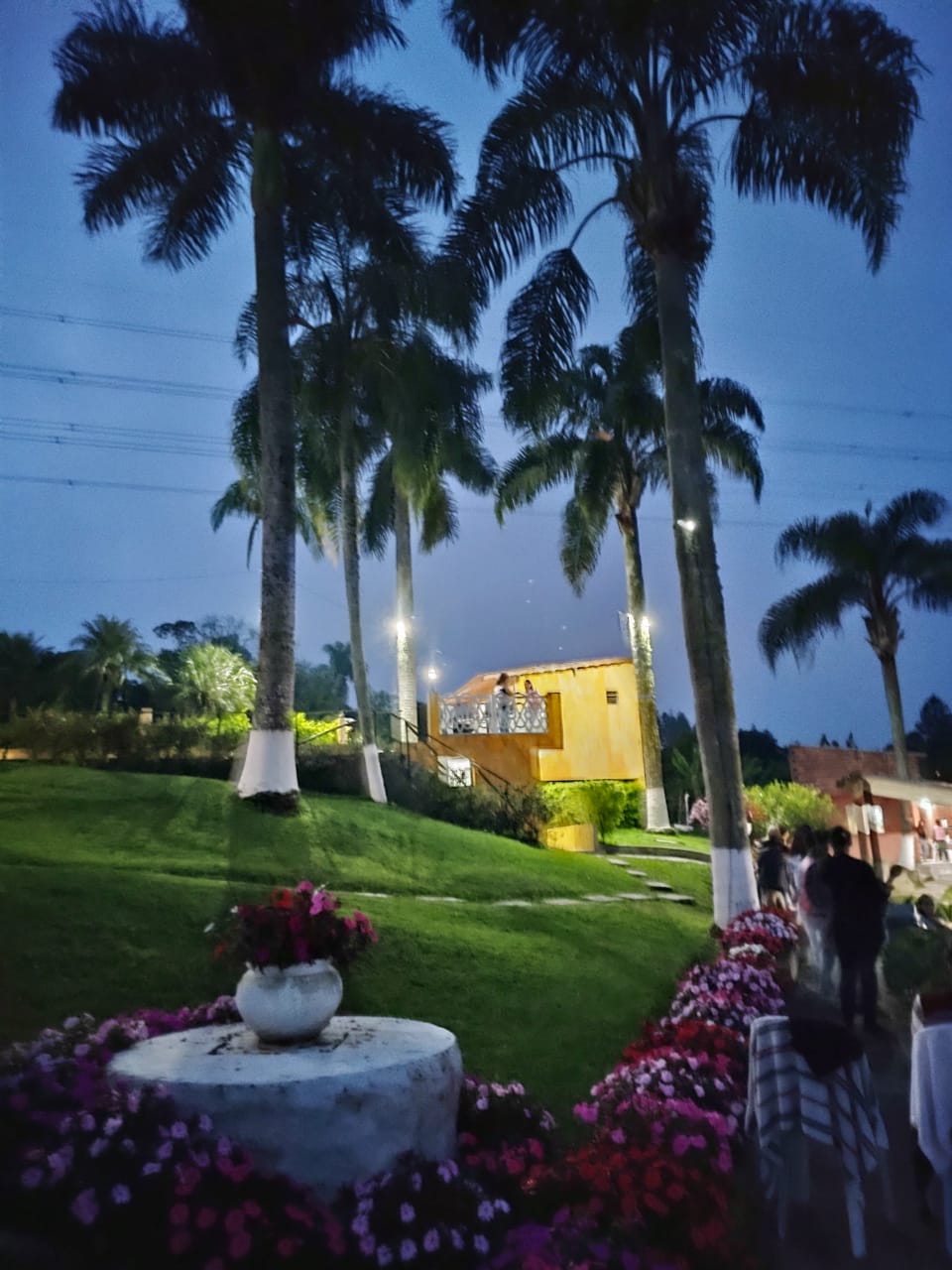 WhatsApp Image 2025-01-20 at 10.58.09 (1)