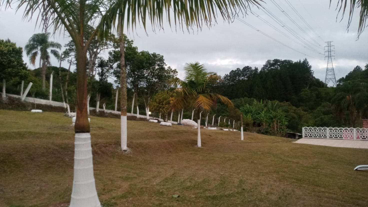 WhatsApp Image 2025-01-20 at 10.58.09