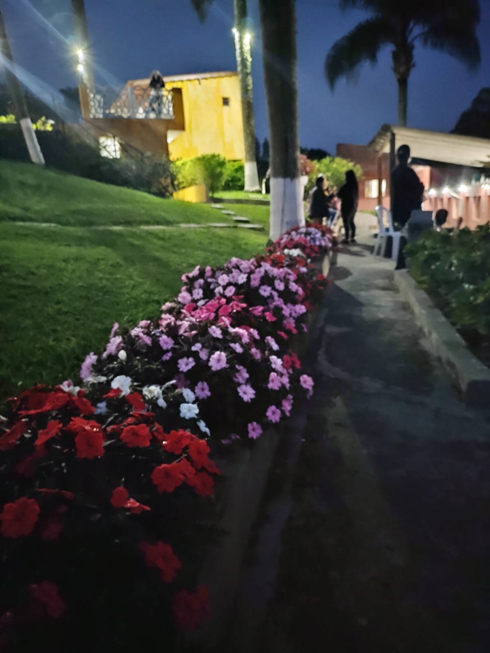 WhatsApp Image 2025-01-20 at 10.58.11 (2)